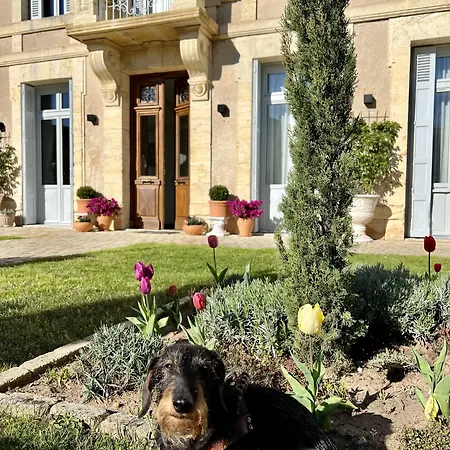 Chateau Edward 1er 4*